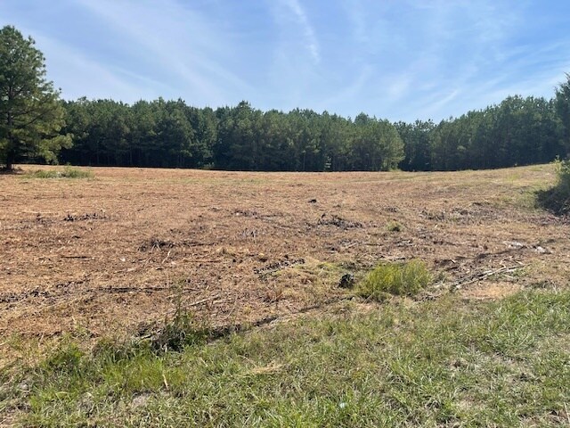 More Photos Of 00 Fairmount Hwy, Calhoun Land For Sale