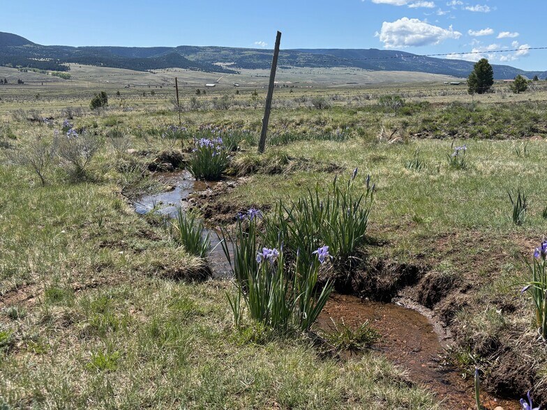 More Photos Of 27989 Highway 64, Eagle Nest Land For Sale