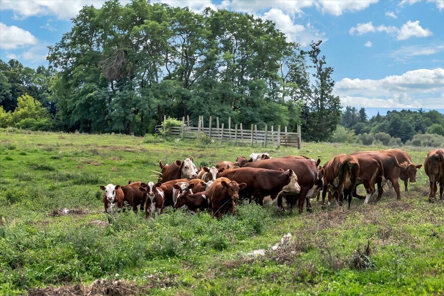 More Photos Of 164 Lepper Rd, Fort Johnson Land For Sale