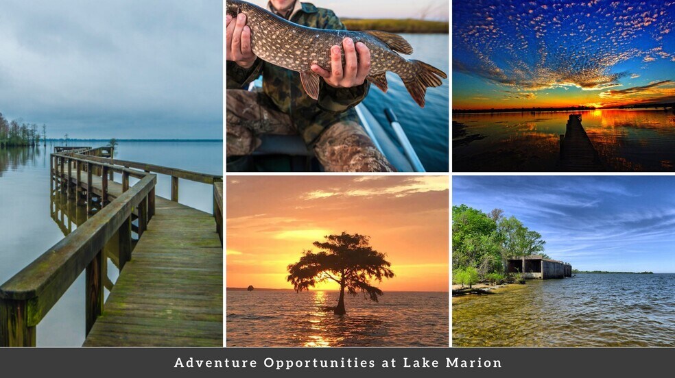 More Photos Of 1000 Peake St, Holly Hill Land For Sale