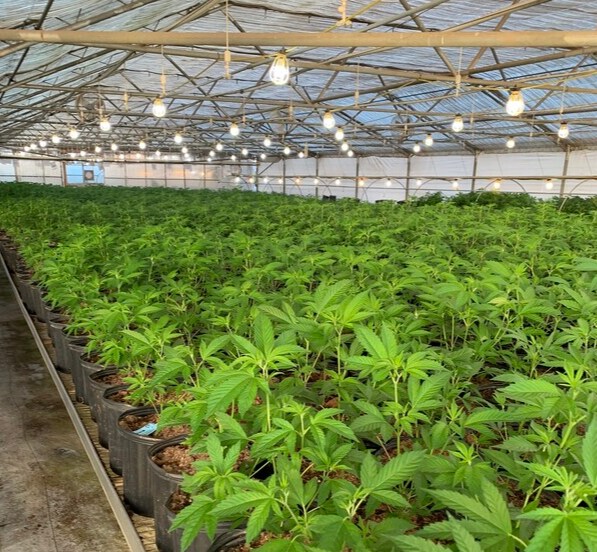 More Photos Of 26800 Encinal Rd, Salinas Manufacturing For Lease