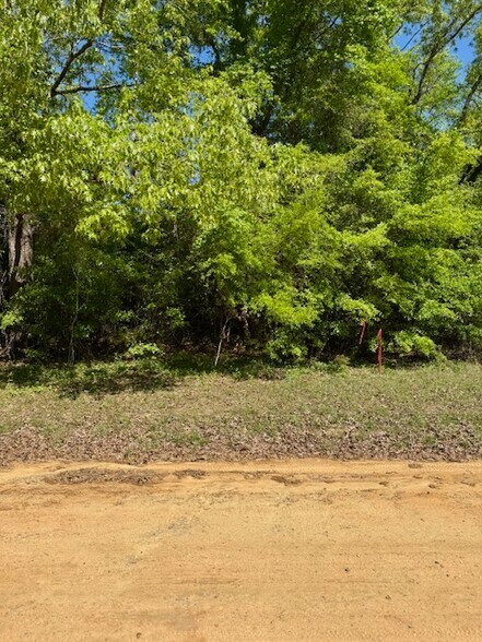 More Photos Of 000 Tanglewood Trail, Georgetown Land For Sale