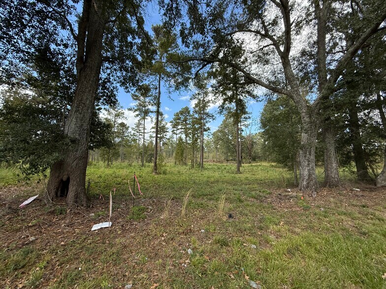 More Photos Of LOT 5 HWY 33 hwy, Centreville Land For Sale