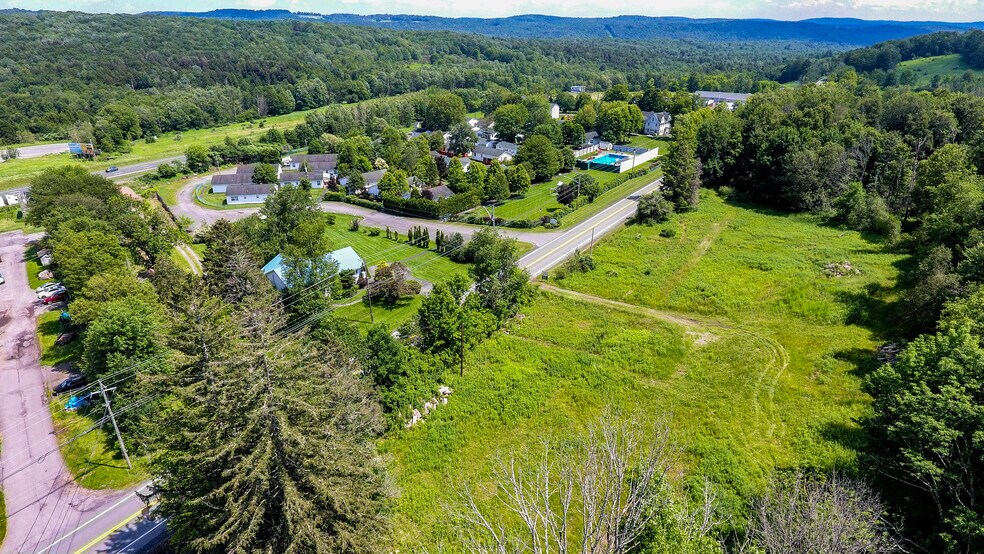 More Photos Of 1283 Old Route 17, Ferndale Land For Sale