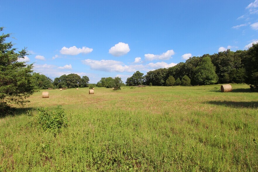 More Photos Of 278 Highway 64 E, Conway Land For Sale