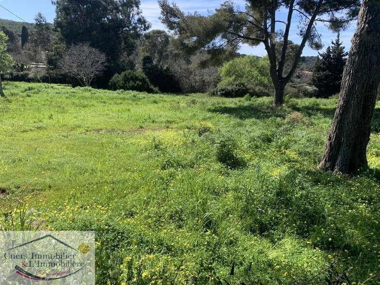 More Photos Of ,  Land For Sale