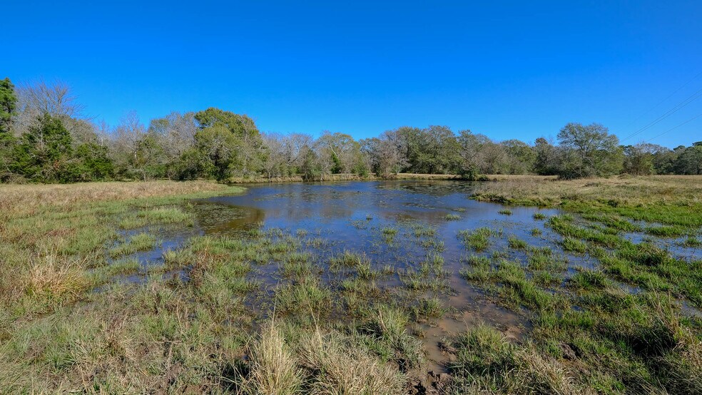 More Photos Of 26266 Fields Store Rd., Waller Land For Sale