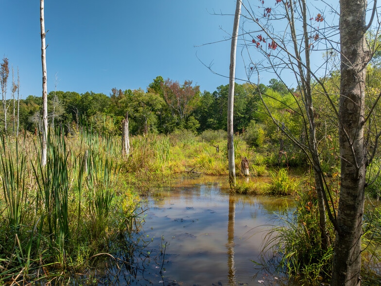 More Photos Of 00 Nash Mill Extension rd, Fountain Inn Land For Sale
