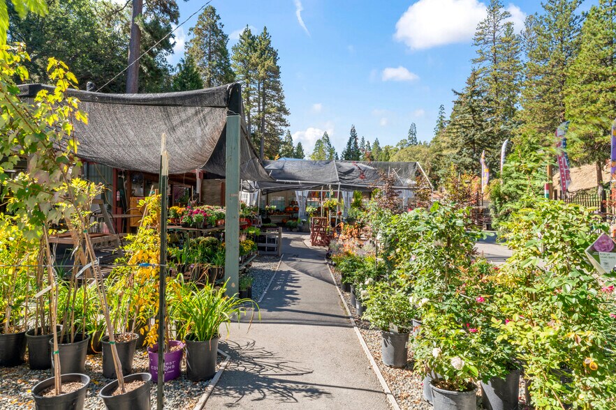 More Photos Of 303 CA-173 Hwy, Lake Arrowhead Garden Center For Sale