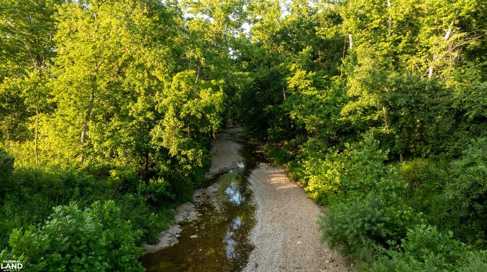 More Photos Of 178 Oak Creek Ln, Bland Land For Sale
