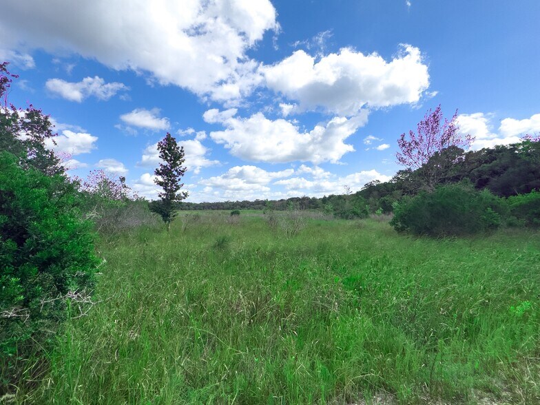 More Photos Of W C 48, Bushnell Land For Sale