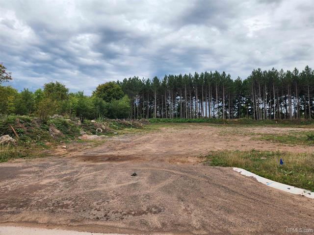 More Photos Of TBD9 Dolomite Dr, Hancock Land For Sale