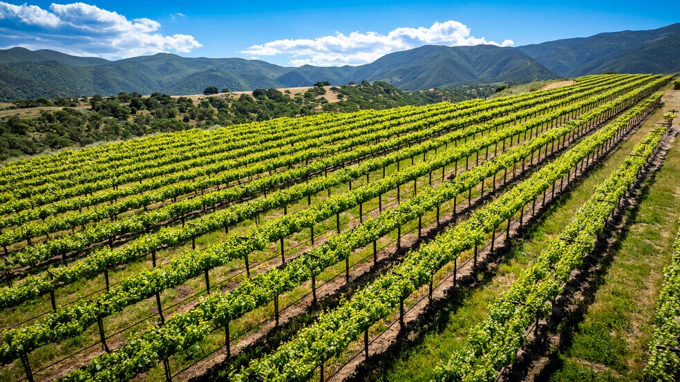 More Photos Of 35422 Paraiso Springs Rd, Soledad Land For Sale