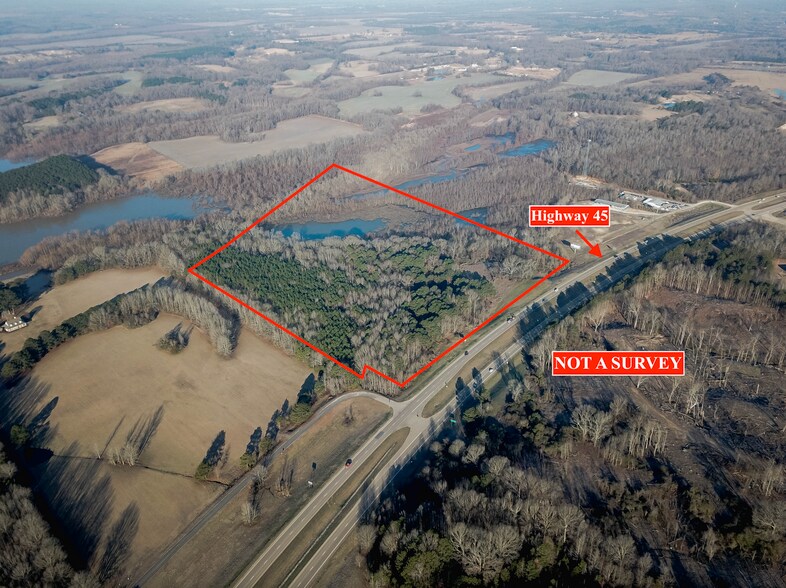 Primary Photo Of Highway 45 S, Saltillo Land For Sale