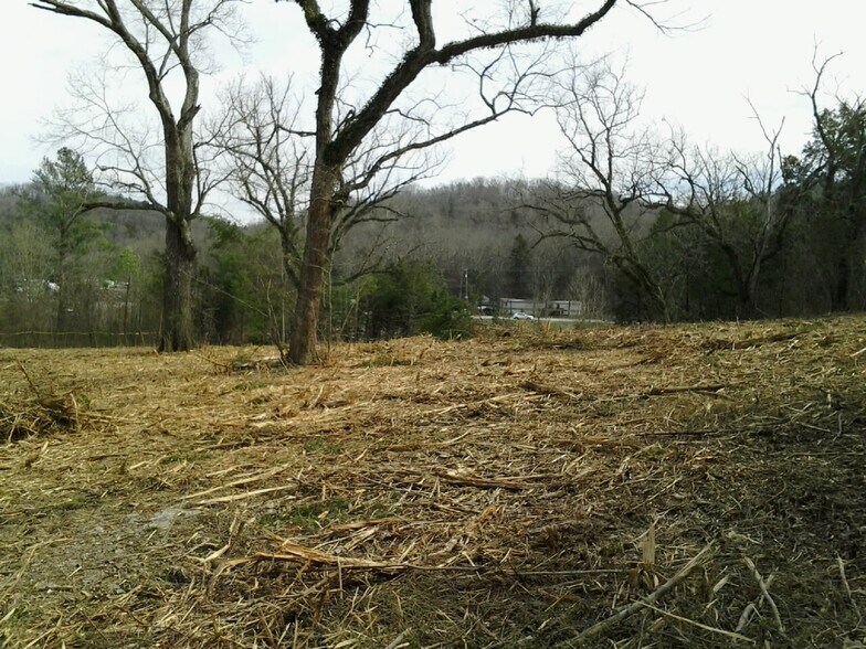 More Photos Of 1969 Thrasher Pike, Hixson Land For Sale