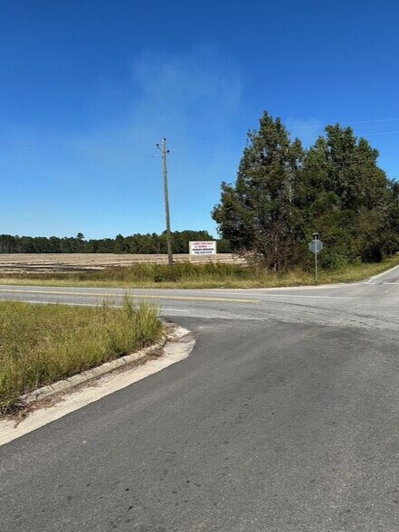 More Photos Of 20945 Georgia 46 Hwy, Pembroke Land For Sale