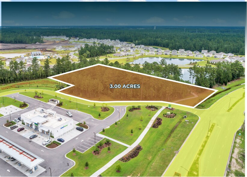 More Photos Of 2500 Fort Argyle Rd ext, Bloomingdale Land For Sale