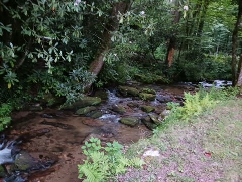 More Photos Of 4259 Pickens Hwy, Rosman Hospitality For Lease