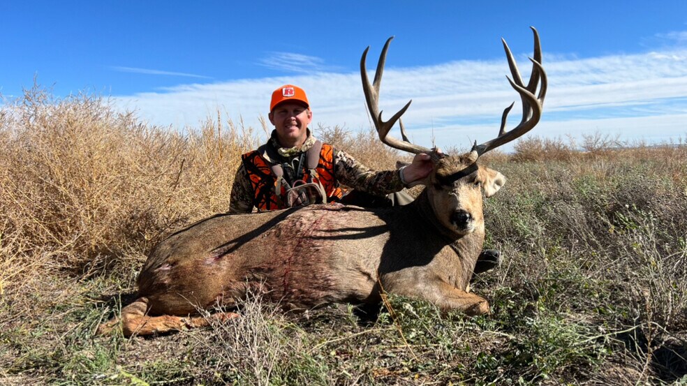 More Photos Of 48999 County Road 48, Model Land For Sale