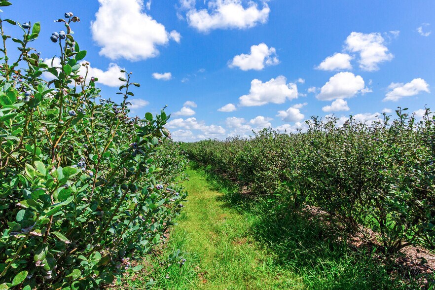 More Photos Of 3674 FL-64, Zolfo Springs Land For Sale