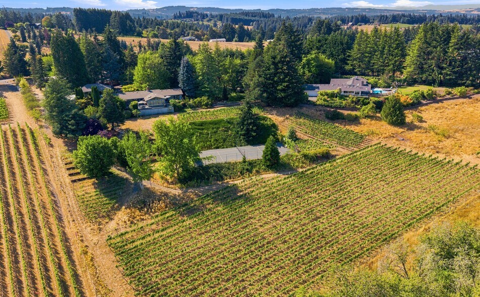 More Photos Of 21360 SW Hillsboro Hwy, Newberg Winery Vineyard For Sale