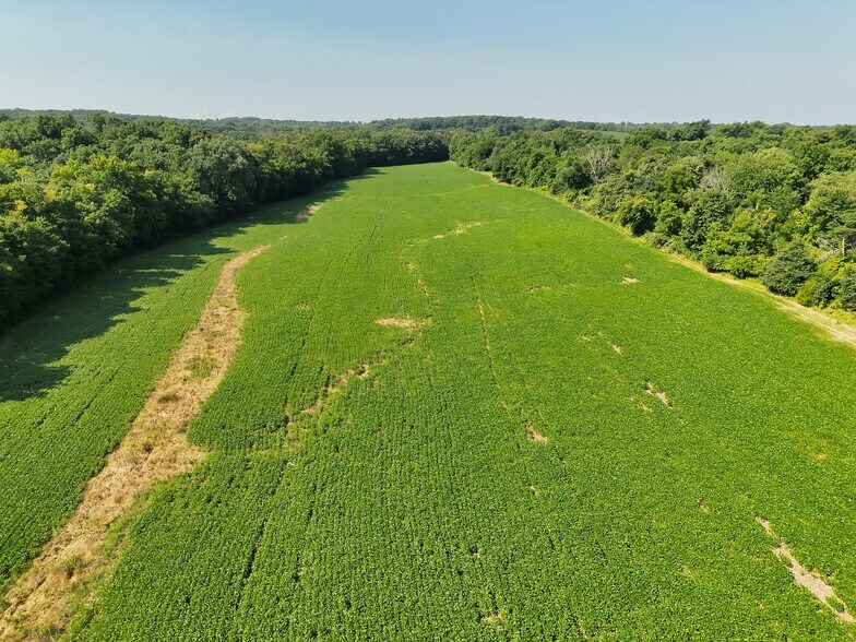 More Photos Of Walnut Hill Ln. (36.31+/- Acres), Elsberry Land For Sale
