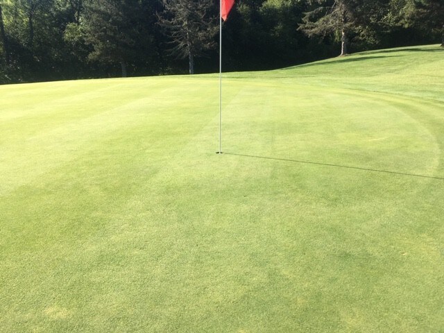 More Photos Of 318 Tanglewood Rd, Pulaski Golf Course Driving Range For Sale