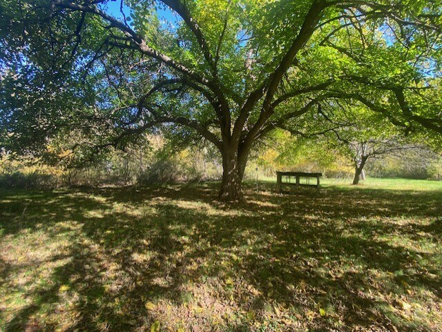 More Photos Of 7892 Stonewall Jackson Hwy, Front Royal Restaurant For Sale