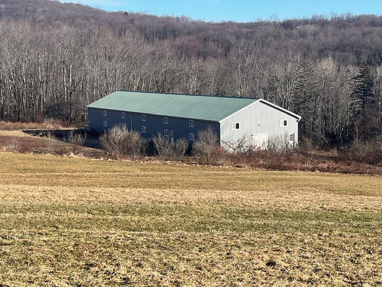 Primary Photo Of 229 Menges Rd, Livingston Manor Industrial For Lease