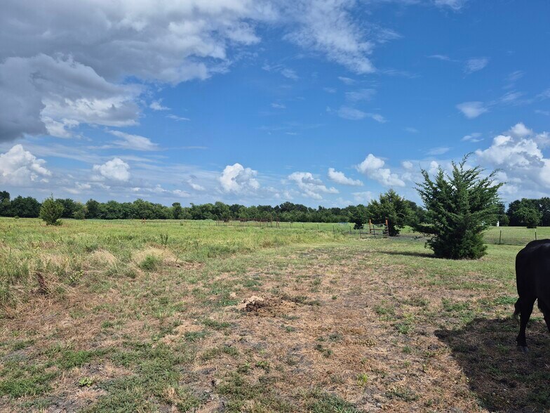 More Photos Of 9561 N TX-50 Hwy, Ladonia Land For Sale