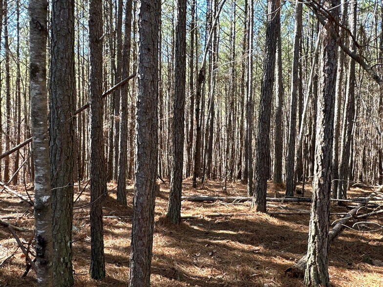 More Photos Of 3472 Prior Station Rd, Cedartown Land For Sale