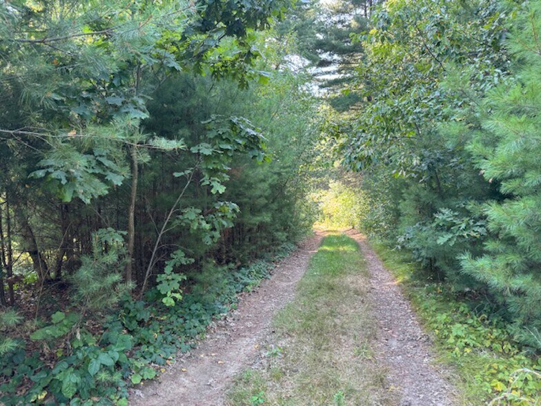 More Photos Of 1204 South St, Wrentham Land For Sale