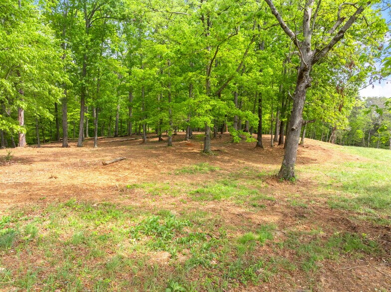 More Photos Of 0 Highway 321 South, Lenoir City Land For Sale