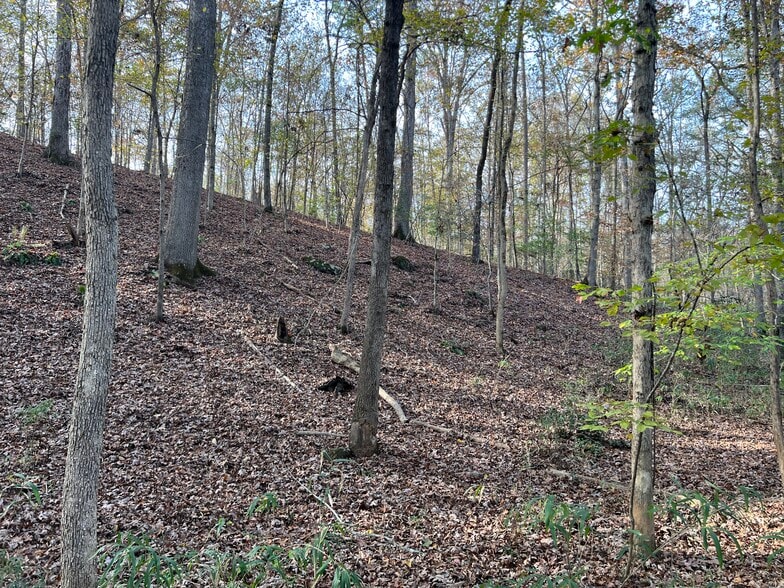 More Photos Of 0 Dickson Dr, Danielsville Land For Sale