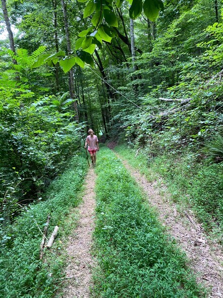 Primary Photo Of 536 Old Collins Ferry rd, Talladega Land For Sale