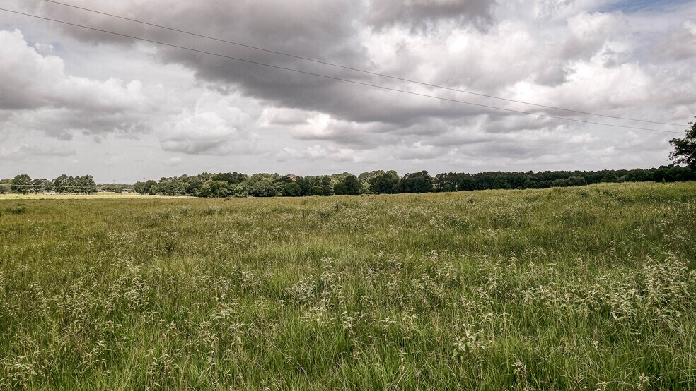 More Photos Of 25396 Magnolia Rd, Hockley Land For Sale