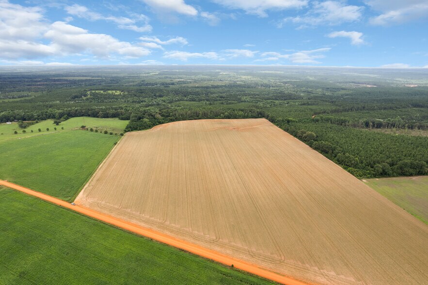 More Photos Of 0 Old Stage rd, Repton Land For Sale