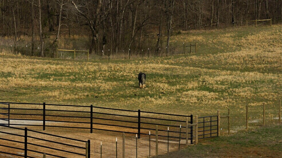 More Photos Of 1185 Jack Smith Rd, Rockfield Land For Sale