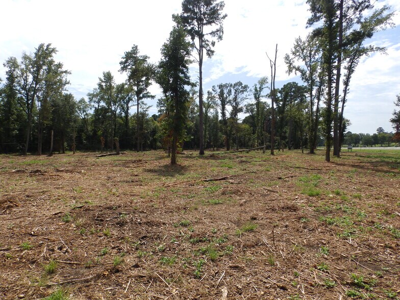 More Photos Of 16393 Highway 31, Tyler Land For Sale