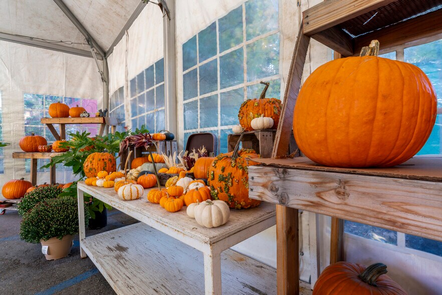 More Photos Of 303 CA-173 Hwy, Lake Arrowhead Garden Center For Sale