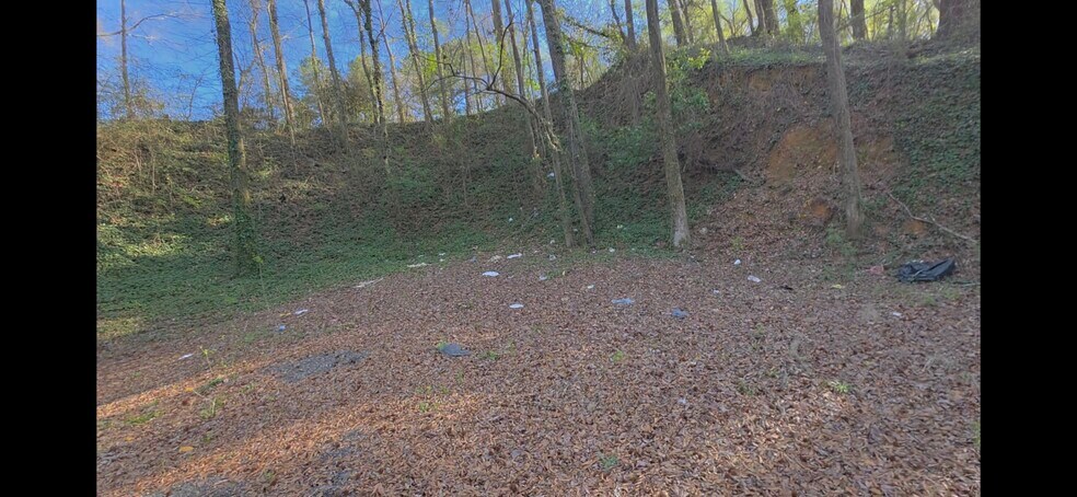 More Photos Of 6409 Georgia Rd, Birmingham Land For Lease