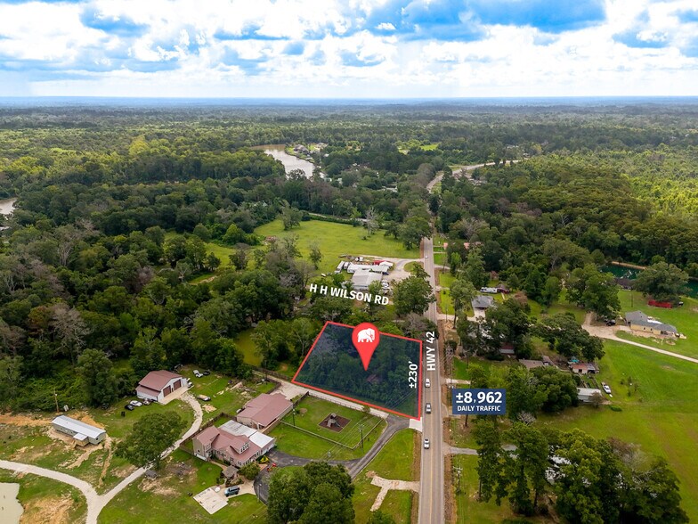 More Photos Of 44098 HWY 42, Prairieville Land For Sale