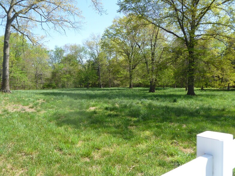 More Photos Of 7611 James Madison Hwy, Gainesville Land For Sale