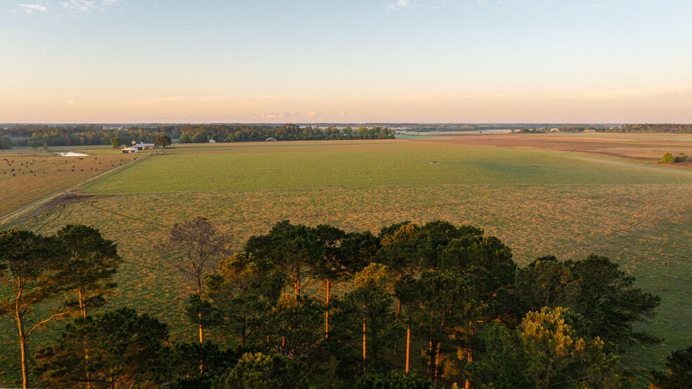 More Photos Of 24795 County Road 32, Elberta Land For Sale