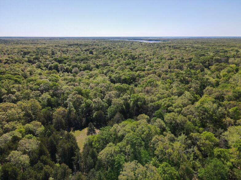 More Photos Of 3842 FM 2029, Telephone Land For Sale