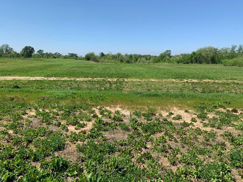 Primary Photo Of 000B-3A Highway 61, Natchez Land For Sale