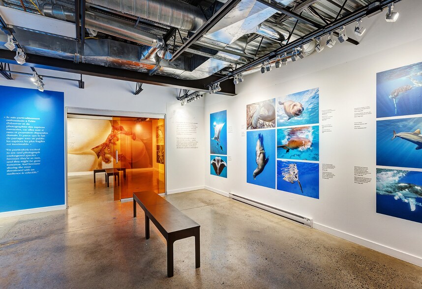 More Photos Of 7049 Rue Saint-Urbain, Montréal Showroom For Sale