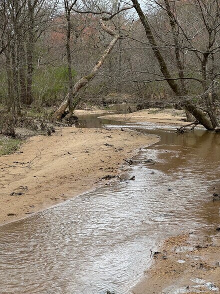 More Photos Of 10831 Highway 9, Kellyton Land For Sale