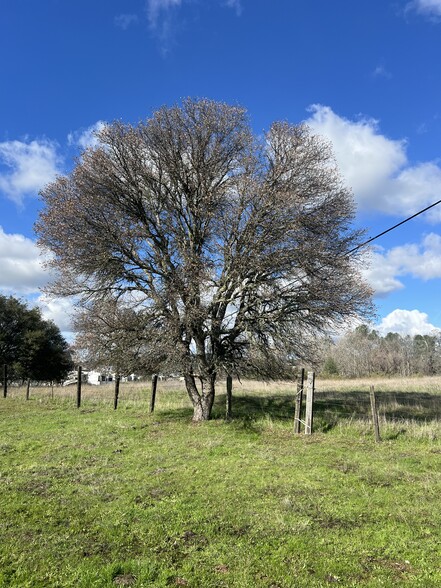 Primary Photo Of 0 Pacific Street, Plymouth Land For Sale