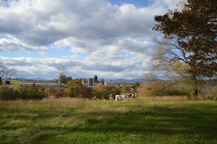 More Photos Of 16380 Forest Rd, Forest Land For Sale